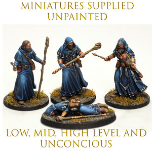 Adventurers 4 Pack - Mage